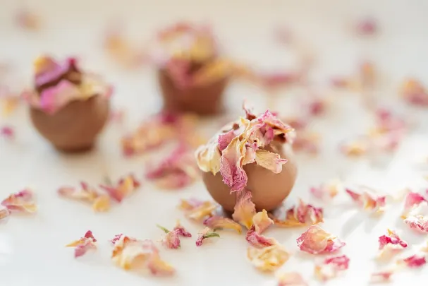 Kaszinó Paradise Win Android/iOS Alkalmazás